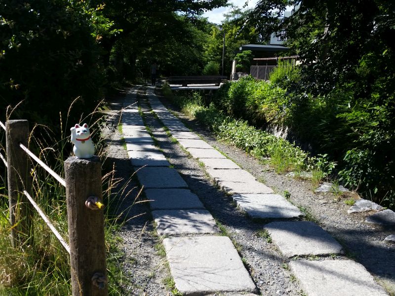 Gotokuji Temple Maneki-Neko - Philosopher's Path, Kyoto